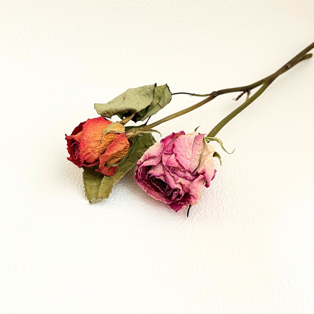 薔薇のモチーフ×天然石ブレスレット｜天然石 ブレスレット 薔薇 ピンク系 華やか [1458]_イメージ4