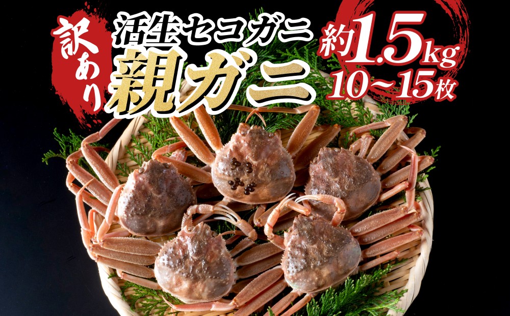 
                  訳あり親がに（生）｜鳥取 岩美 日本海 松葉ガニ 松葉がに ズワイガニ せこがに ※お届けは2026年11月中旬～【22011-2】
                