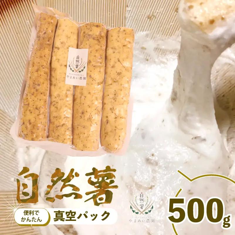 【2026年度先行予約】500g 自然薯 真空パック 静岡県 牧之原市 やまあい農園