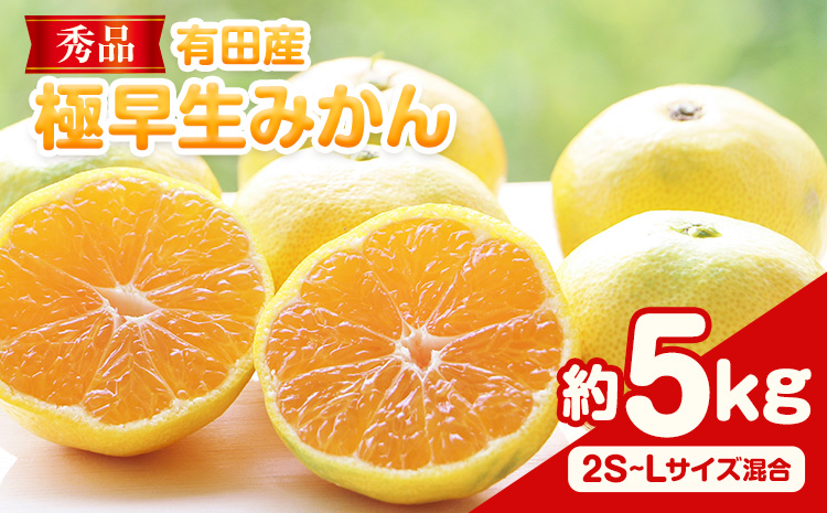 先行予約【秀品】有田産極 早生 みかん 約5kg (2S～Lサイズ混合) 厳選館《2025年10月上旬-12月中旬頃出荷》和歌山県 日高川町 早生みかん みかん 完熟 柑橘 蜜柑 ミカン フルーツ 果