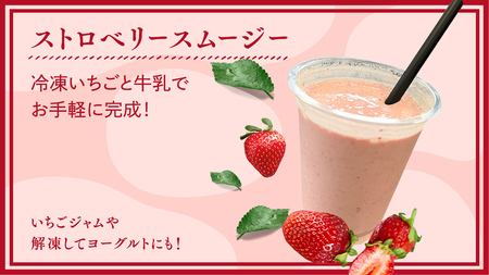 【 訳あり 】 冷凍 いちご 約2.5kg ( 500g × 5パック ) イチゴ 苺 アイス 冷たい 旬 凍眠 小分け 新鮮 お得 品種ランダム [AU069ya]