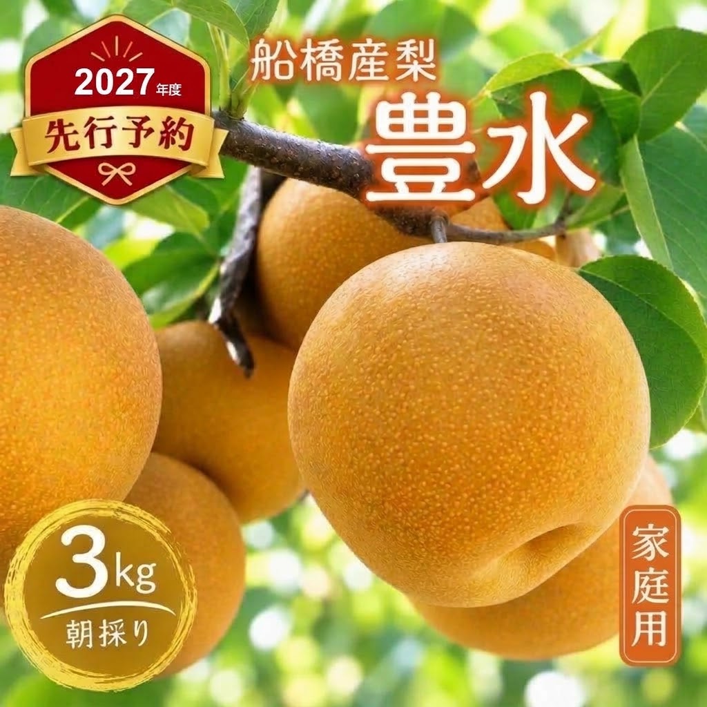 D014-2027【家庭用】果汁たっぷりの極上梨「豊水・3kg」（2027年産）