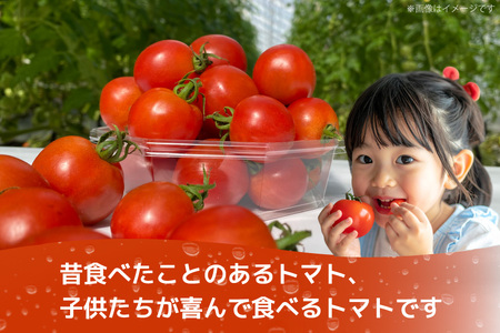 訳あり 野菜 トマト 冷凍志宝トマト（シンディスイート）中玉 2kg