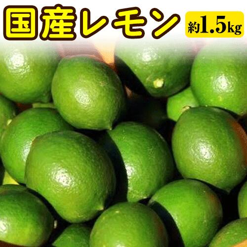 【ふるさと納税】国産レモン 約1.5kg アトランティスファーム《11月上旬-3月中旬頃出荷》和歌山県 紀の川市 フルーツ 果物 柑橘