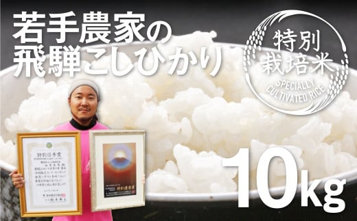 《先行予約》令和8年産 特別栽培米 こしひかり 10kg 食味コンクール受賞農家こだわりのお米 新米 白米 米 精白米 池本農園