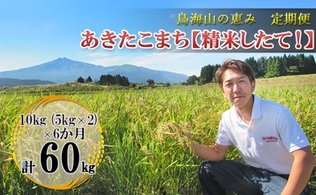 【先行予約】《定期便 6か月》 あきたこまち 10kg  精米 あきたこまち R8年産