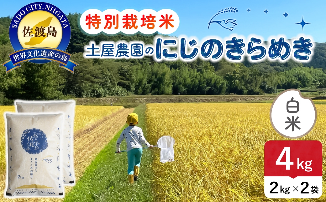 
                  佐渡島産にじのきらめき 白米 4kg 令和8年産 特別栽培米 土屋農園 | 新潟県産にじのきらめき 佐渡産にじのきらめき にじのきらめき お米 米 白米 精米 おこめ コメ 4キロ にいがた さど 新潟県 佐渡市
                