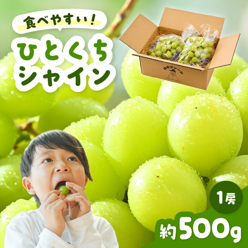 【ふるさと納税】 【先行予約】 シャインマスカット ひとくちシャイン 約500g 1房 【2026年8月中旬以降順次発送予定】 【マスカット ブドウ ぶどう 葡萄 果物 くだもの フルーツ 果実 新鮮 国産】