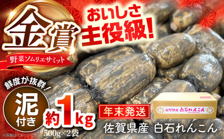 【先行予約】年末発送 金賞れんこん 約1kg /れんこん 蓮根 レンコン れんこん れんこん れんこん  [IBD017]