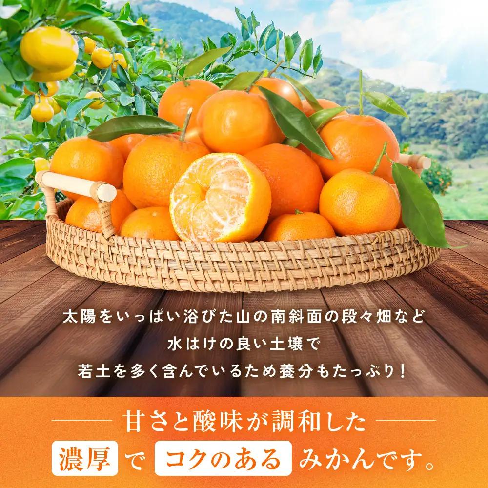 [秀品]有田のブランド「賢みかん」5kg(Mサイズ) ［2026年11月中旬頃より順次発送］