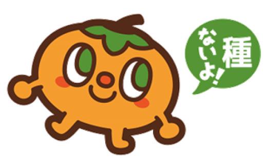 【各種メディア掲載】 令和8年産 2パック ベビーパーシモン たねなし 皮ごと 小さな柿 ベビーパーシモン 8〜15玉入 9月中旬〜10月下旬に配送 [mt2249]｜かき 果物 フルーツ カキ 果物
