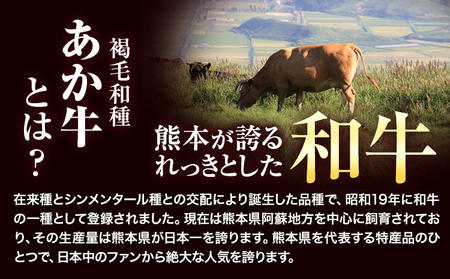 【ふるなびWEEK対象】あか牛 切り落とし 1.1kg 焼肉用 カルビ 