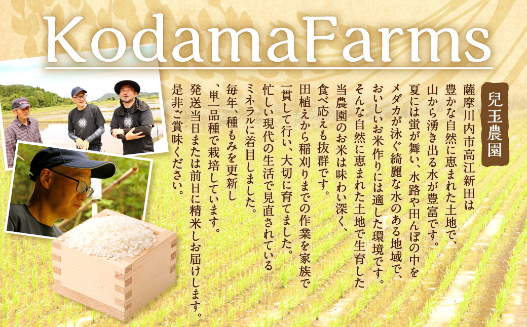 【新米先行予約】【KODAMAFARMS】あきほなみ 5kg（計15kg）