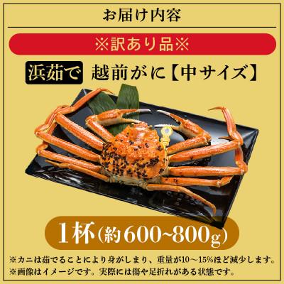 ふるさと納税 越前町 【訳あり】≪浜茹で≫越前がに 中サイズ(生で約600〜800g) × 1杯【3月より順次発送】 |  | 03