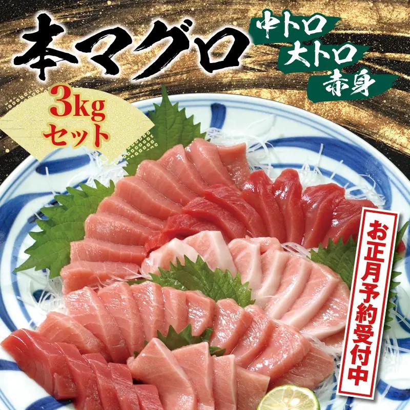 【お正月予約 12月25日～29日発送】 本マグロ（養殖）トロ＆赤身セット 3kg【nks112-sg】