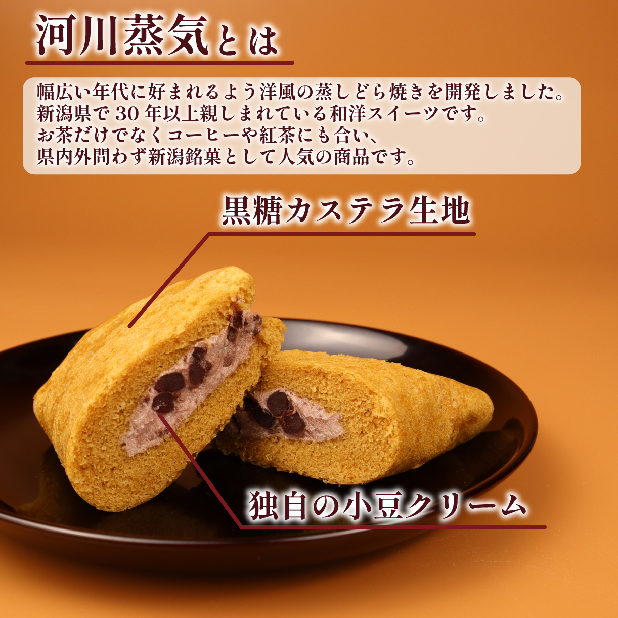 河川蒸気 小豆クリーム味 10個入　【 いえい 小豆 河川蒸気 蒸しどら焼き 菜菓亭 新潟銘菓 和菓子 洋菓子 10個 どらやき どら焼き カステラ B22_03 】