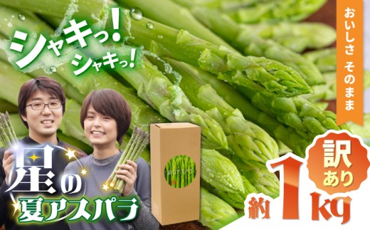 【2026年5月下旬～発送】【数量限定】【訳あり】甘い！柔らかい！【星のアスパラ】厳選 グリーン アスパラガス 1kg / アスパラ あすぱら アスパラ あすぱら 厳選 あすぱらがす アスパラ 採れたて 新鮮 旬 産地直送 野菜 訳あり L・M・Sサイズ  ミックス / 南島原市 / ほしのYA [SEY021]