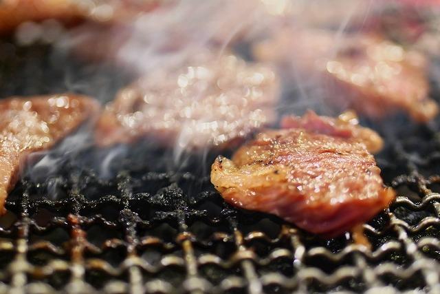 熊野牛 希少部位 カイノミまたはササミ 焼肉用 約500g【MT41】