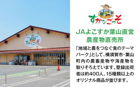 よこすか野菜セット すかなボックス／野菜 旬 セット 【JAよこすか葉山】[ASCB001]