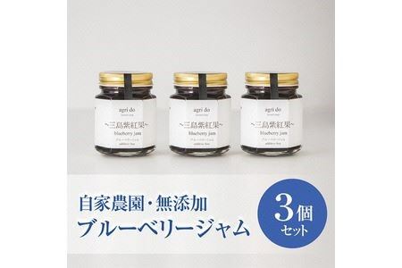 agri doブルーベリージャム3個入り　三島紫紅果（みしまぶるーべりー）