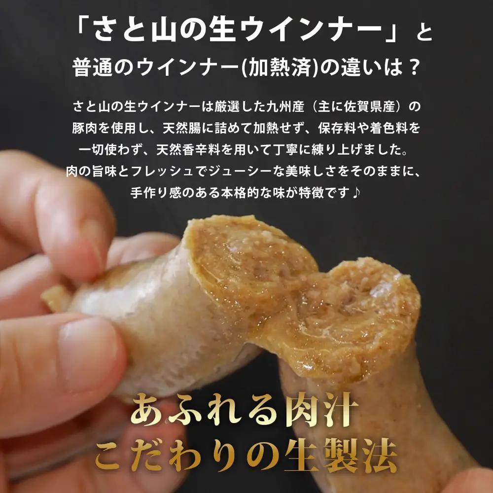 生トン 人気5種セット 計25本（各40g×5本）/ 豚 生ウインナー[41AABM055]