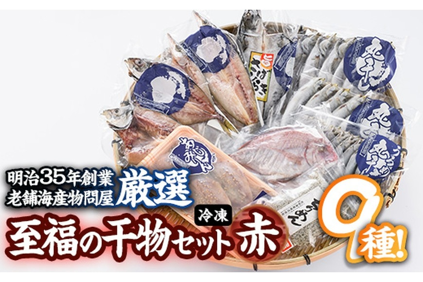 老舗海産物問屋 選りすぐり干物 セット 赤 (9種)あじ 鯵 たい 鯛 みりん ちりめん さば 鯖 海鮮 魚 いわし セット 詰合せ 【BQ69】【佐伯海産(株)】