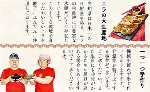 ニラのまち香南市 香南ニラ餃子14個 - 送料無料 ぎょうざ ギョーザ ギョウザ おかず おつまみ にら 手作り スタミナ お取り寄せ お祝い パーティー のし 高知県 香南市 冷凍 tw-0005