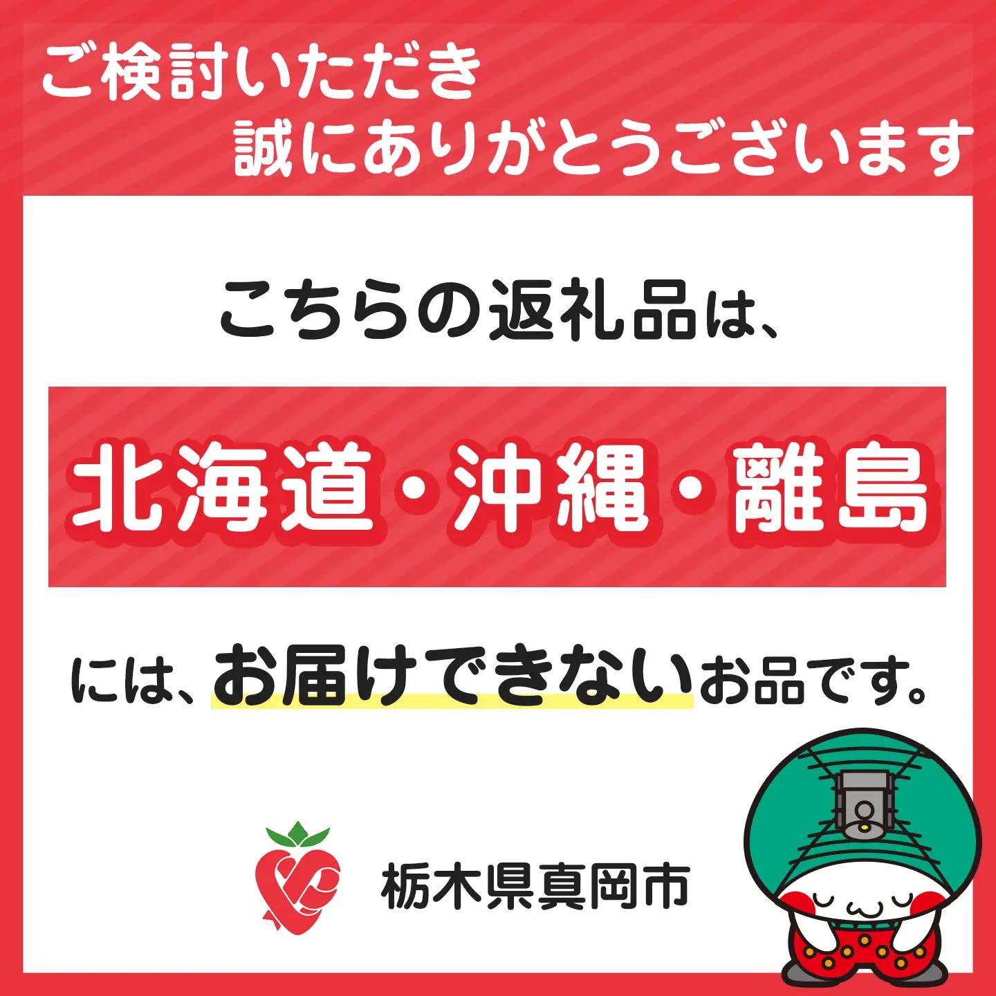 シリカ水素水 ビューティールルド1箱 ビューティールルド専用ミストボトル(100ml)1本 