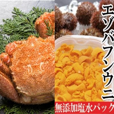ふるさと納税 根室市 エゾバフンウニ塩水パック150g×1P、毛ガニ2尾[11月下旬以降発送] E-40020