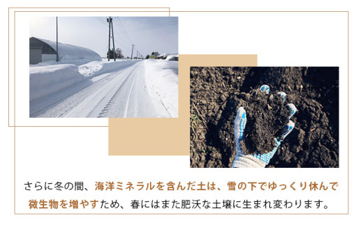 真珠の玉葱 空知黄 3kg ＜海のミネラルで育てた幻の玉葱 空知黄＞｜玉ねぎ たまねぎ タマネギ 北海道産 岩見沢市【a134-010】 3kg