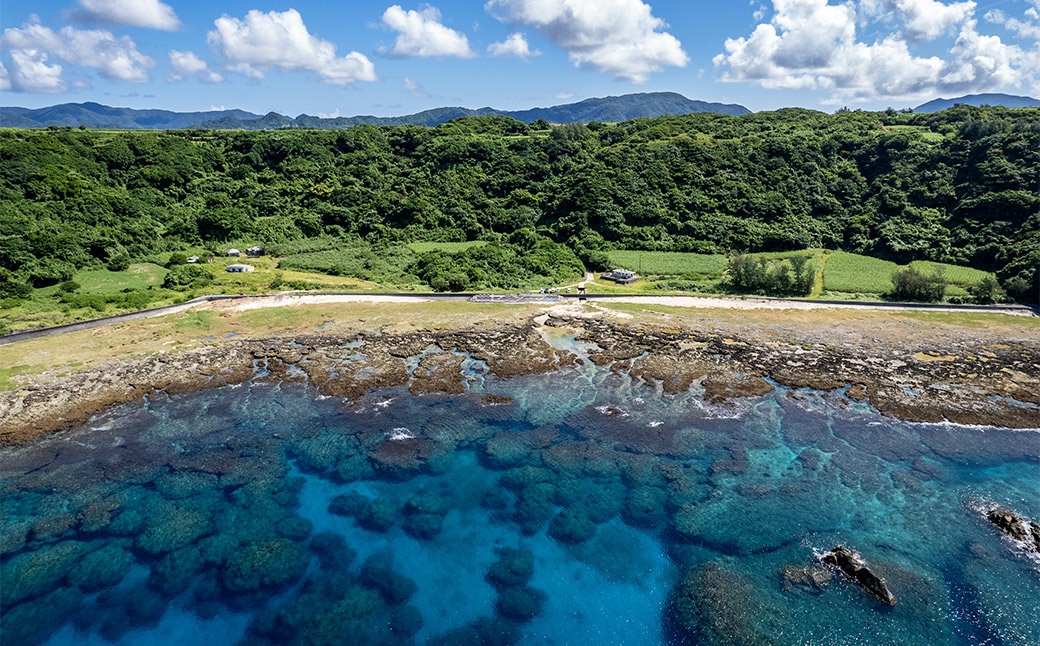 旅行ギフト券 9,000円分