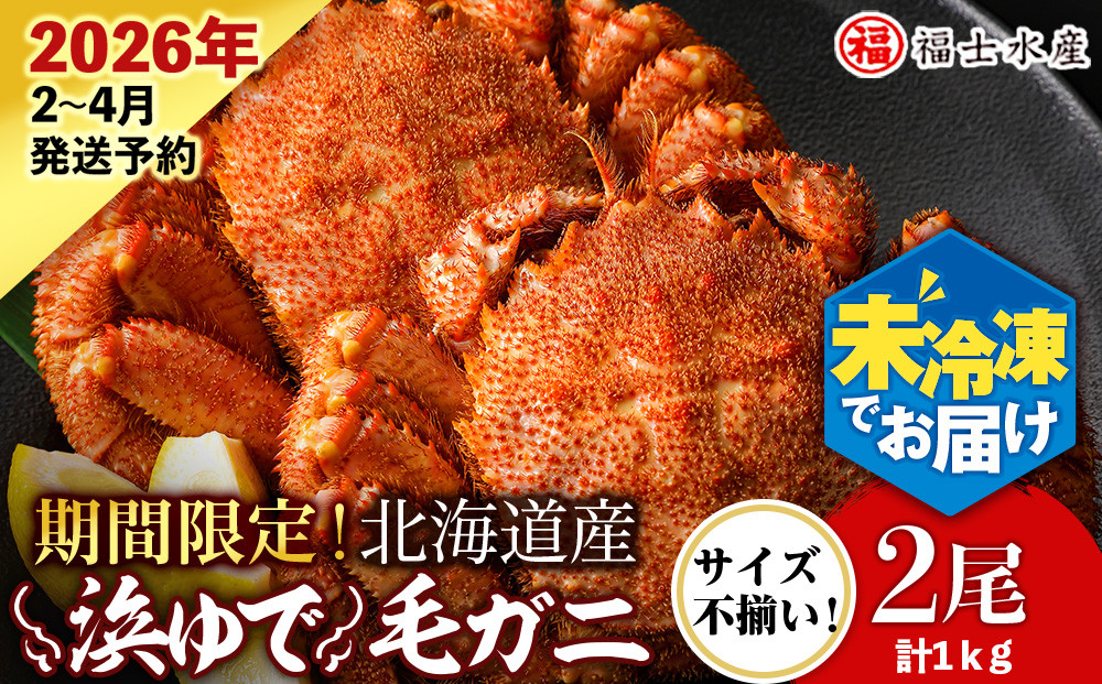 
            【2026年発送予約】チルドでお届け！ 浜茹で毛ガニ中サイズ２尾（不揃い合計約1kg） 〈福士水産〉 冷蔵 毛蟹 ボイル かにみそ
          