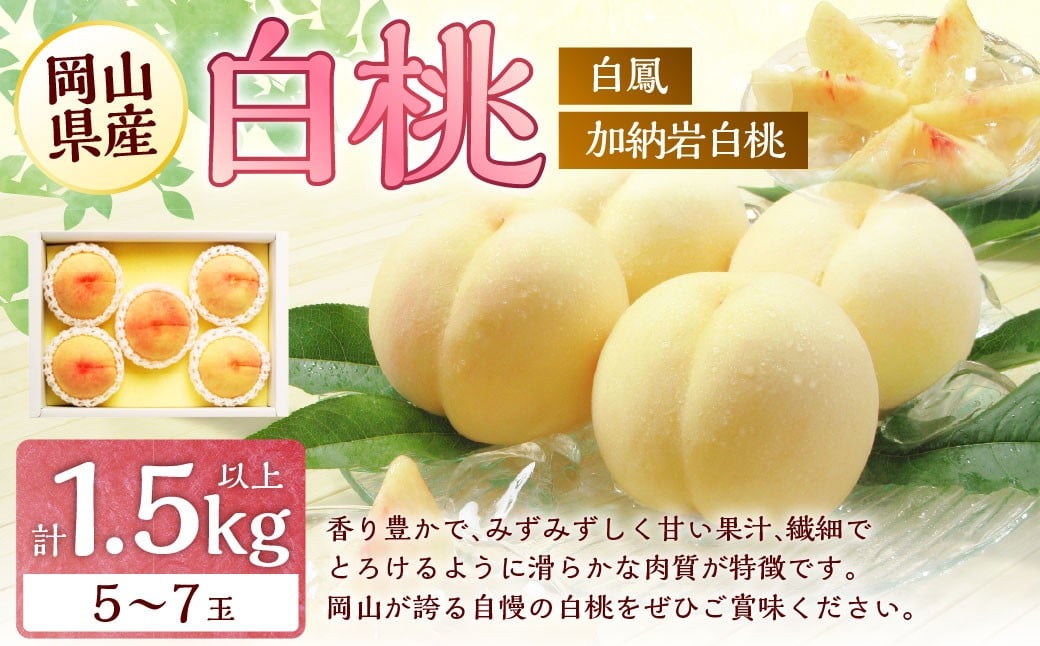 
            桃 2026年 先行予約 岡山 白桃 （品種：白鳳／加納岩白桃） 5～7玉 合計1.5kg以上 【2026年7月上旬～7月下旬 発送予定】 もも モモ 岡山県産 国産 フルーツ 果物 環山堂 くだもの お取り寄せ 贈り物 ギフト 国産
          