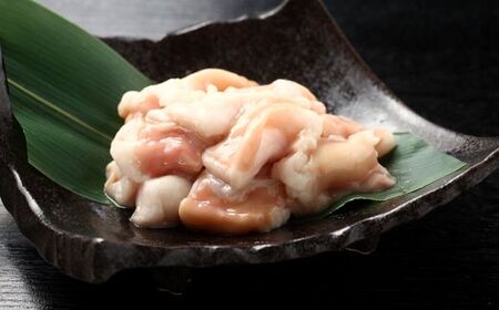 博多若杉牛もつ鍋8～10人前セット（醤油味）【株式会社Skyward】_HA1774