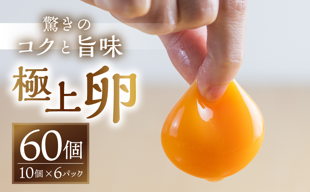 
            【感動の卵体験】コク旨 極上卵 60 個 割れ保証付き
          