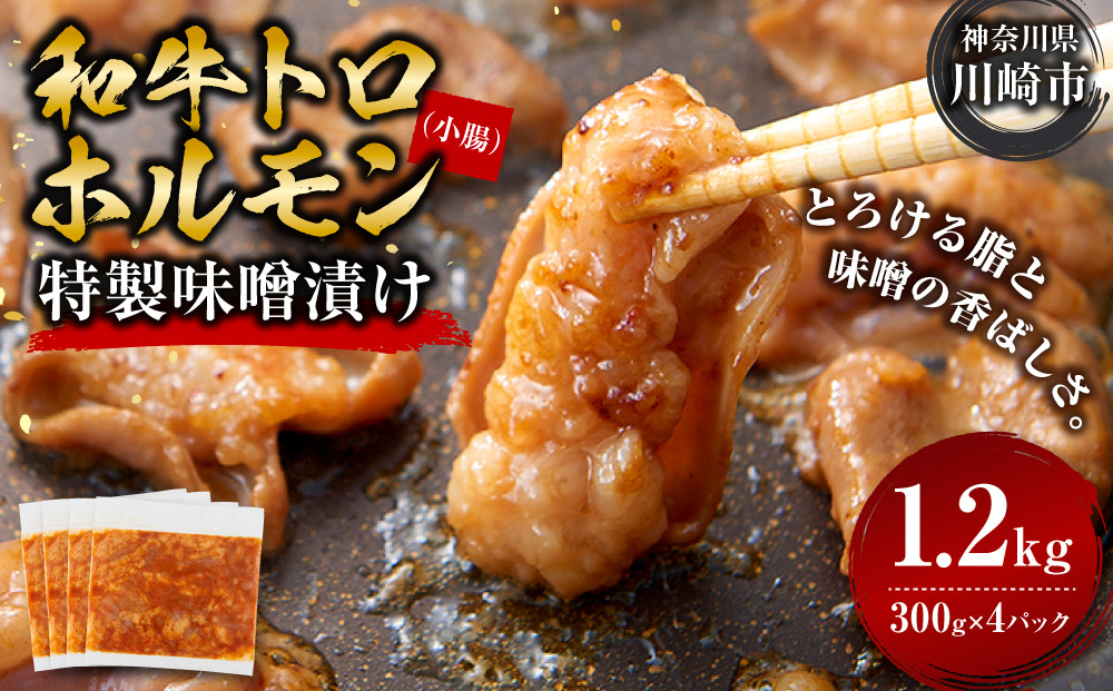 ＜訳アリ＞和牛トロホルモン　特製味噌漬け　1.2kg(300g×4）【2026年6月発送】 141305_KZ20VC06