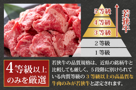 【福井のブランド牛肉】若狭牛切り落とし(モモ・肩・バラ) 450g(225g×2パック)【4等級以上】