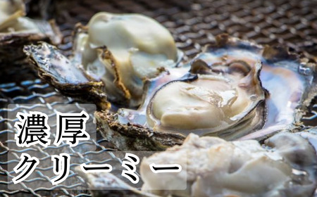 天然岩がき 小サイズ（10～15個） 3Kg 夏季限定！ 安宅産 かき 牡蠣 かき 牡蠣 かき 牡蠣 かき 牡蠣 かき 牡蠣