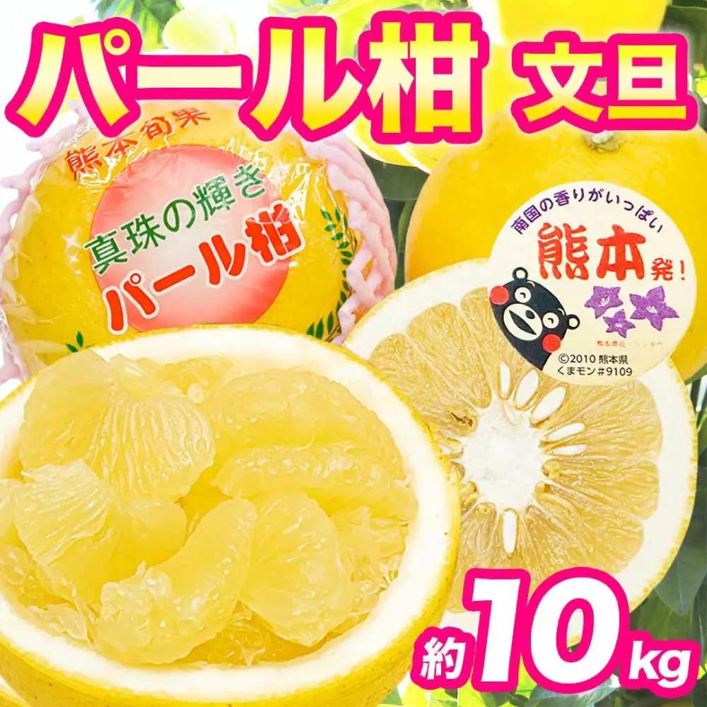 先行予約 パール柑 文旦 秀品  約10kg（12～36玉 ）【2027年2月上旬～2027年3月下旬発送予定】