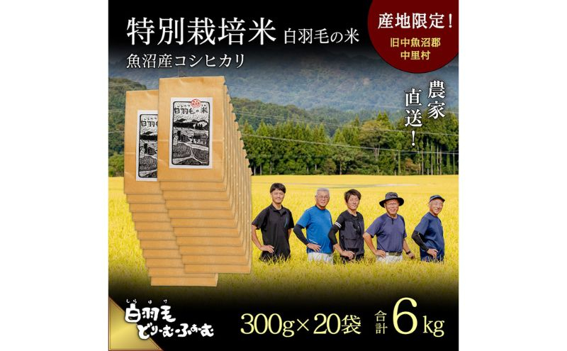 
            【通年受付】≪令和7年産≫　農家直送！魚沼産コシヒカリ特別栽培「白羽毛の米」精米 (300g×20袋) 6kg
          