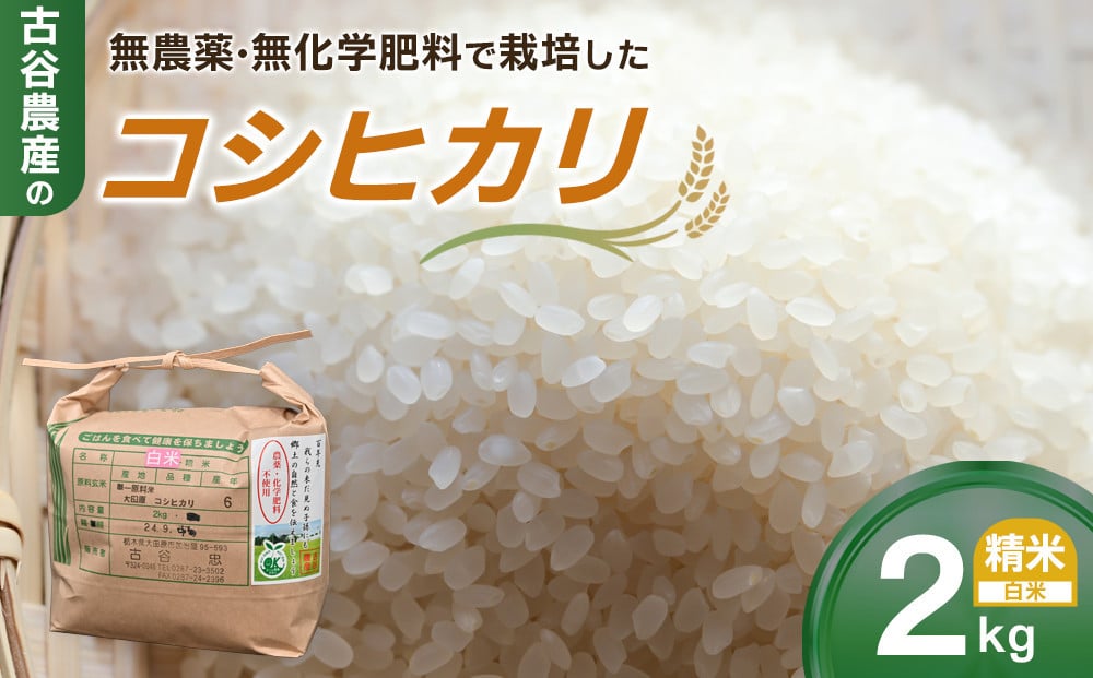 
            【令和7年産米 数量限定】古谷農産の無農薬・無化学肥料で栽培したコシヒカリ（精米2キロ） ｜米 コメ 新米 白米 2kgコシヒカリ こしひかり 農家直送 産地直送 産直
          