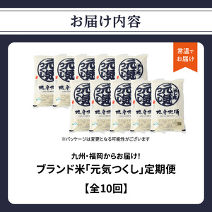九州・福岡からお届け！ブランド米「元気つくし」定期便【全10回】★北海道・沖縄・離島配送不可★ 072-T071