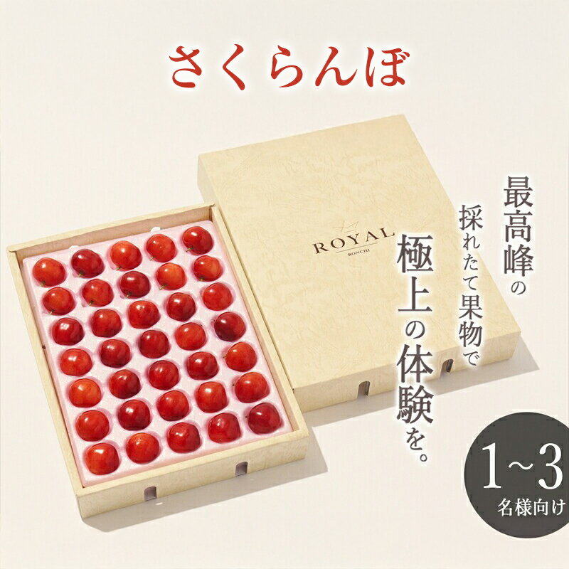 【ふるさと納税】 2.4-1-7 ＜2026年発送先行予約＞南アルプス市産 大粒さくらんぼ“紅秀峰” 2L,3Lサイズ 35粒入 ふるさと納税 おすすめ 山梨県 南アルプス市 送料無料 ALPAL019