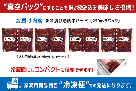 熟成牛ハラミ 2kg (250g×8パック) たれ 味付 小分け 冷凍 焼肉 焼き肉 牛 牛肉 ビーフ ハラミ BBQ 【そうざい男しゃく（株式会社池延）】【ho1469】