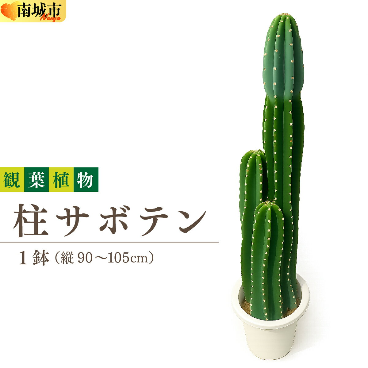 【ふるさと納税】柱サボテン
