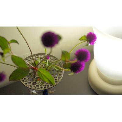 ふるさと納税 長井市 自然をモチーフとしたステンレス鋳物花器「あやめの茎 stalk of ayame」_F032 |  | 01