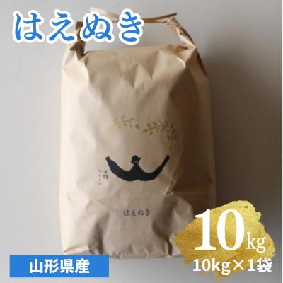 ふるさと納税 南陽市 【令和7年産】山形県産はえぬき　精米10kg (10kg×1袋)【S1978】