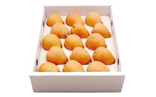 先行予約 茂木 びわ 『なつたより』 3Lサイズ 15玉 入り 【2026年5月下旬～6月上旬迄発送予定】 ／ 果物 くだもの フルーツ 枇杷 ビワ 長崎県 長崎市 川口農園