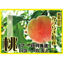 【ふるさと納税】＜甘い香りと果汁が自慢＞桃13～15玉【2025年7月～8月頃順次発送】 | もも 桃 モモ 甘い ジューシー ふるさと納税 和歌山 先行予約 果物 品種 送料無料 産地直送 絶品 濃厚 特産品 名産品