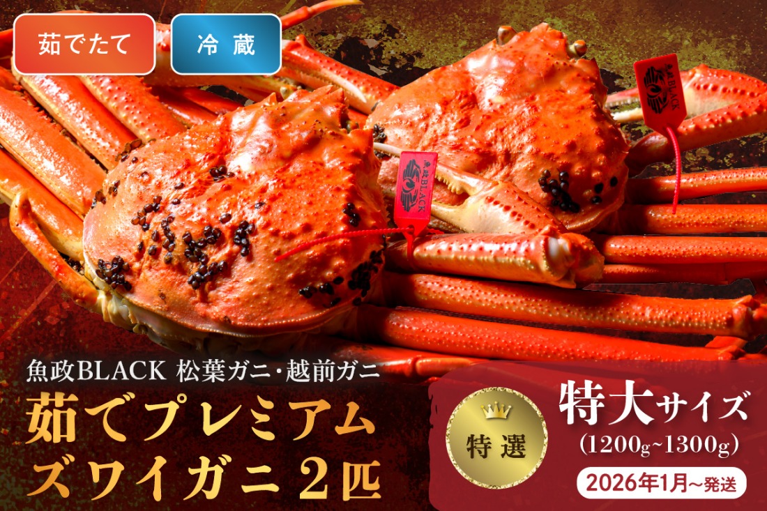 【蟹の匠 魚政】茹で　プレミアムズワイガニ 魚政BLACK（松葉ガニ・越前ガニ）特撰 特大サイズ（1200～1300g） 2匹セット　 (2026年1月～発送)　UO01309